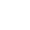 Cyber Law Icon